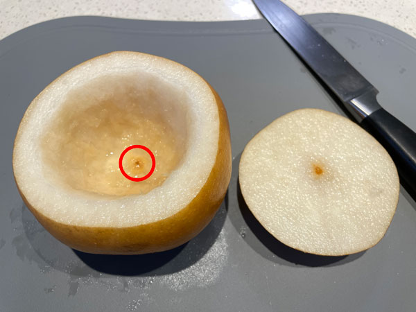 속을 다 파낸 배