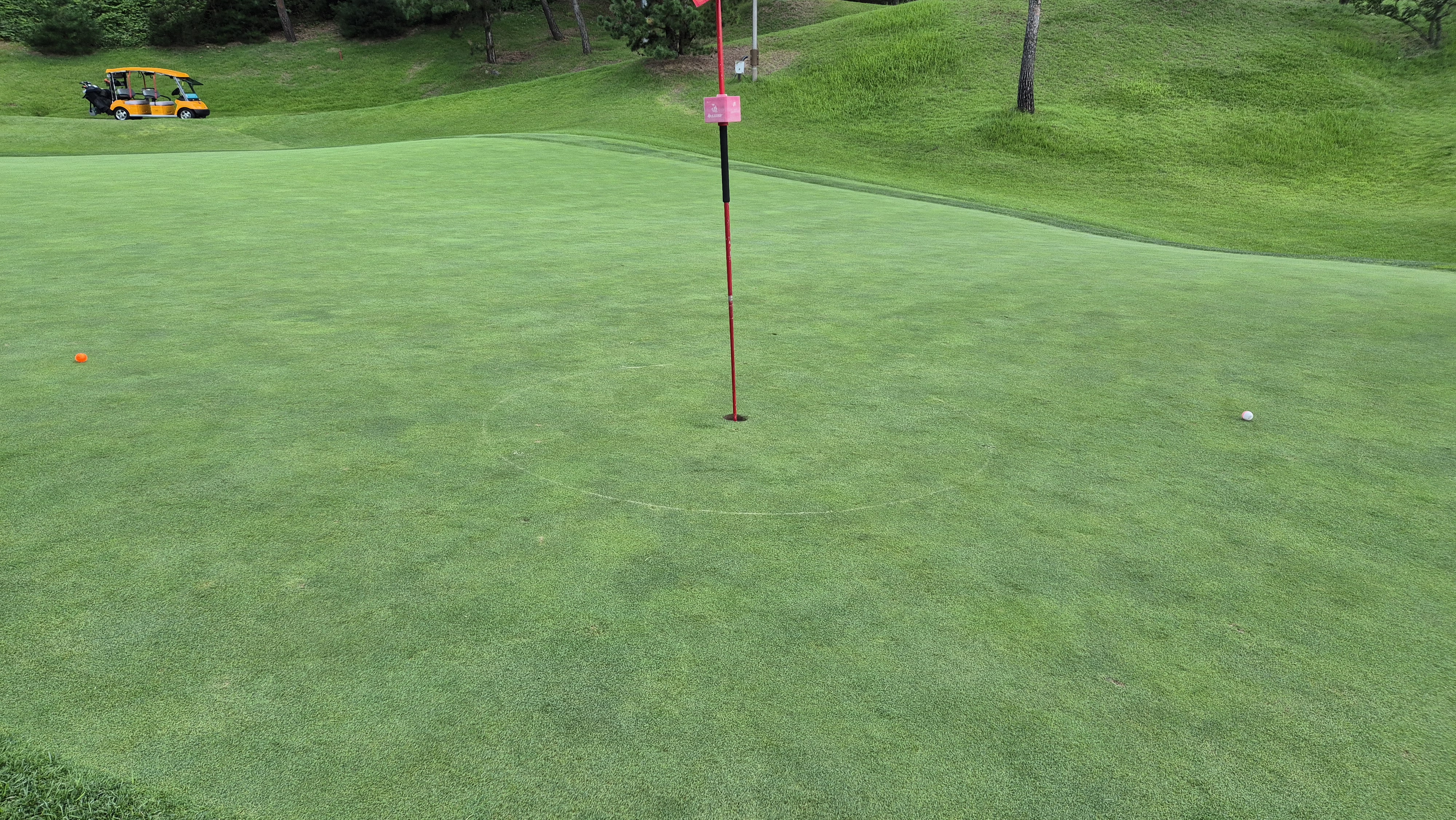 대영힐스cc 청-력 코스 라운드 후기