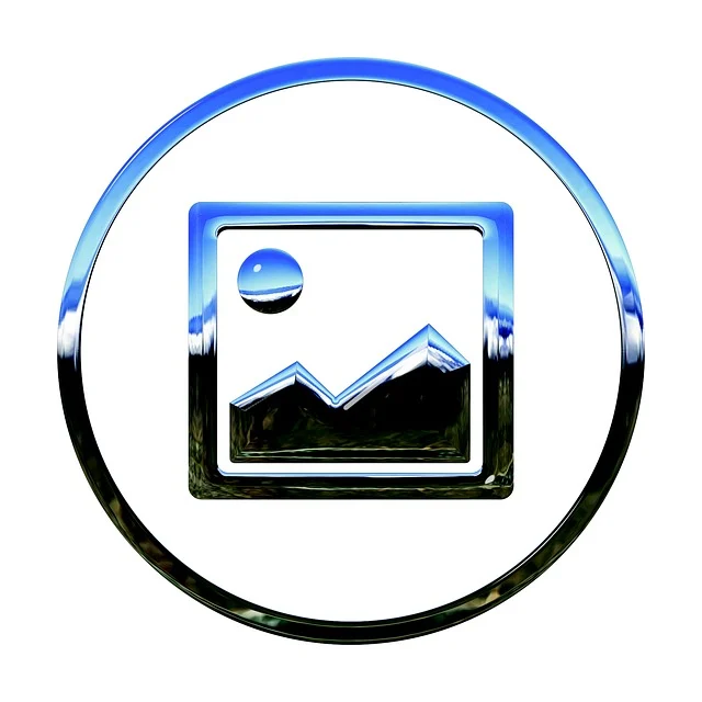 쇼츠 관련 이미지