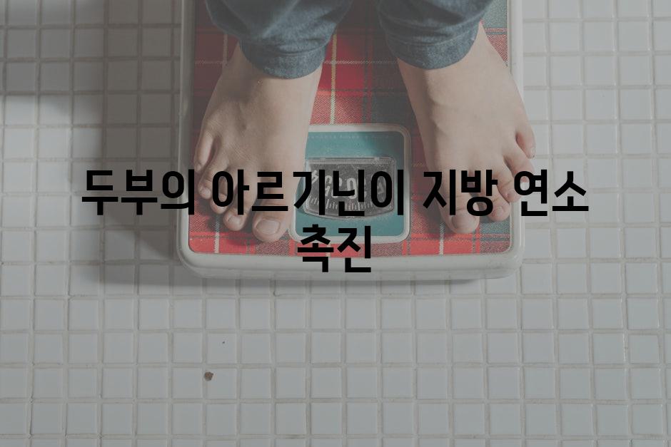 두부의 아르기닌이 지방 연소 촉진