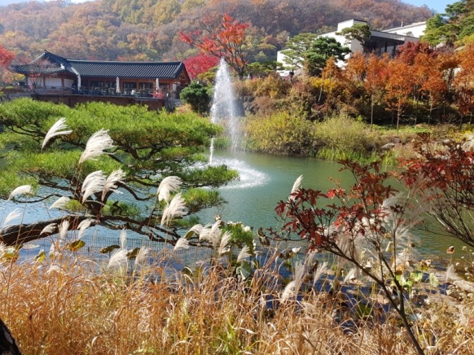 화담숲 모노레일