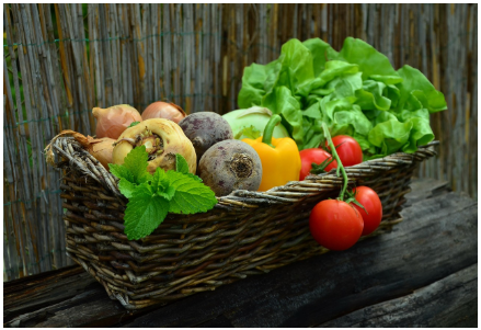 면역력 높이는 식품 10가지 각 식품-의 효능과 맛있게 먹는 레시피 팁
