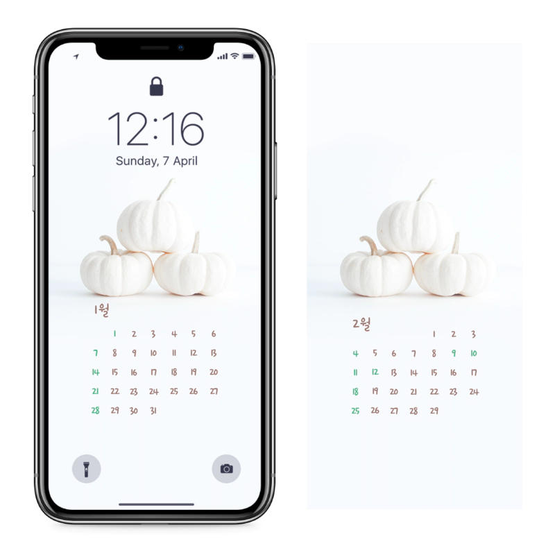 04 하얀색 호박 AB - 2024년1월 아이폰달력배경화면