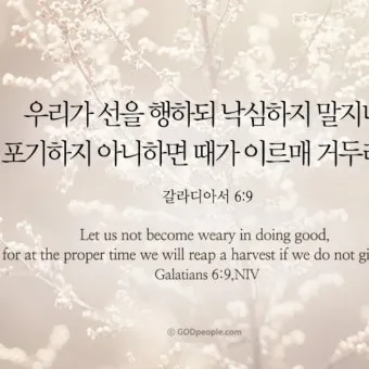 갈라디아서 6장 14절 묵상 십자가의 자랑_3