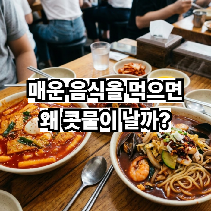 매운 음식을 먹으면 왜 콧물이 날까