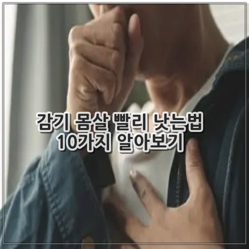 감기 몸살 빨리 낫는법 10가지 알아보기