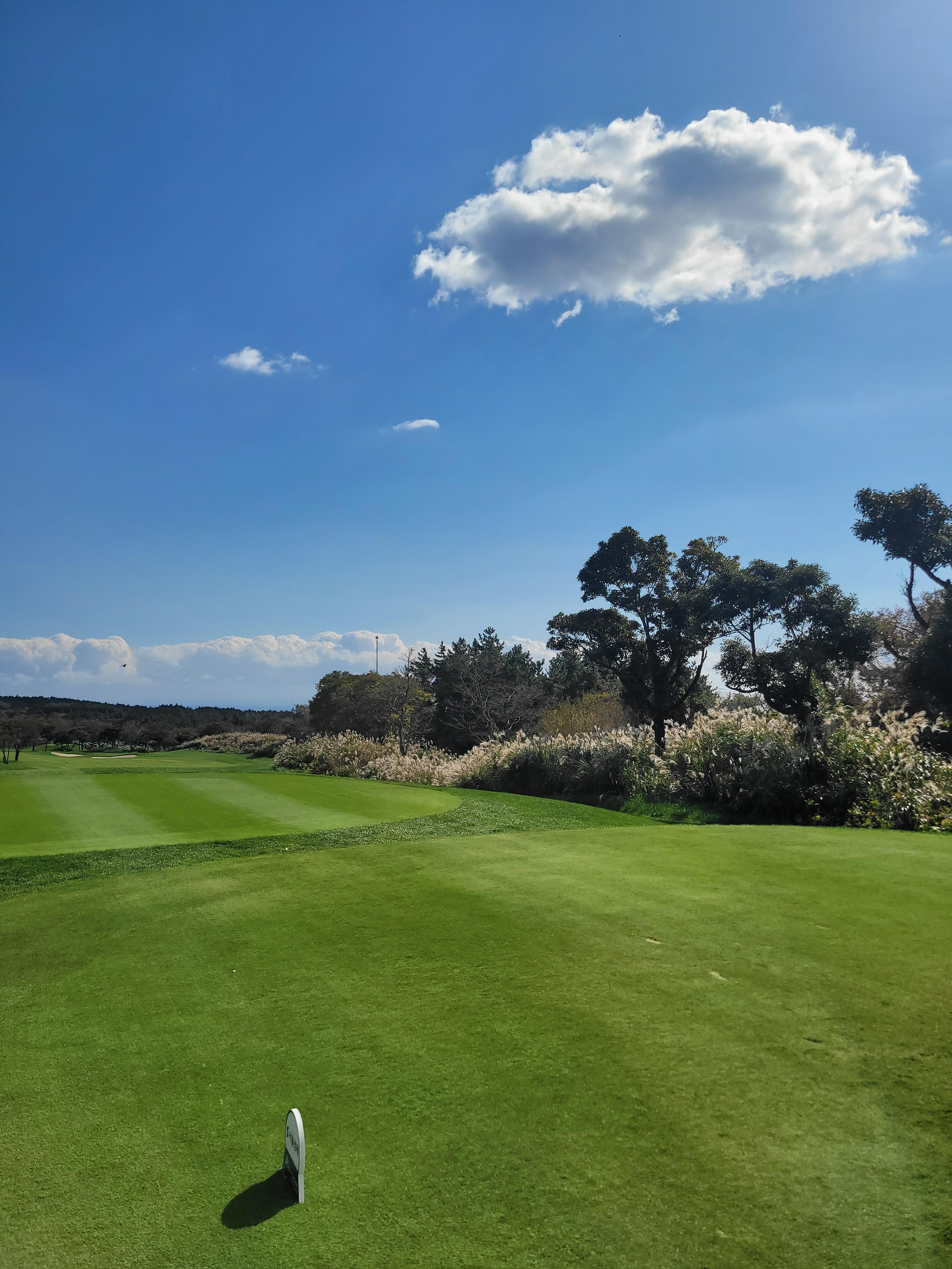 핀크스-klpga-티샷