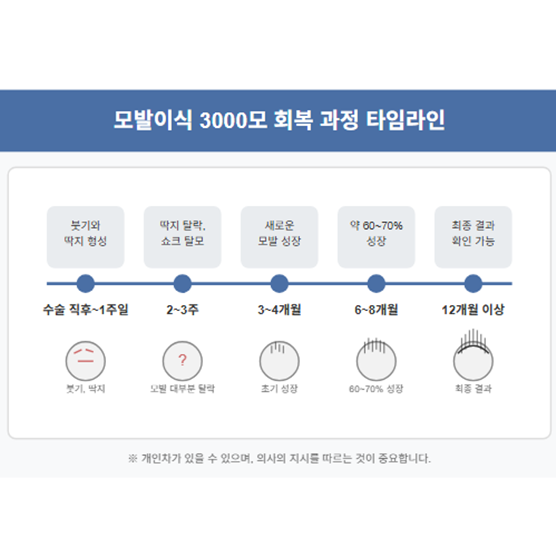 모발이식 회복 과정 타임라인