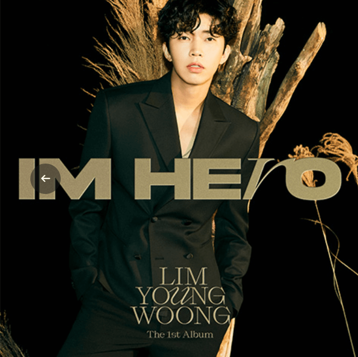 임영웅 콘서트 예매 일정 티켓팅 방법