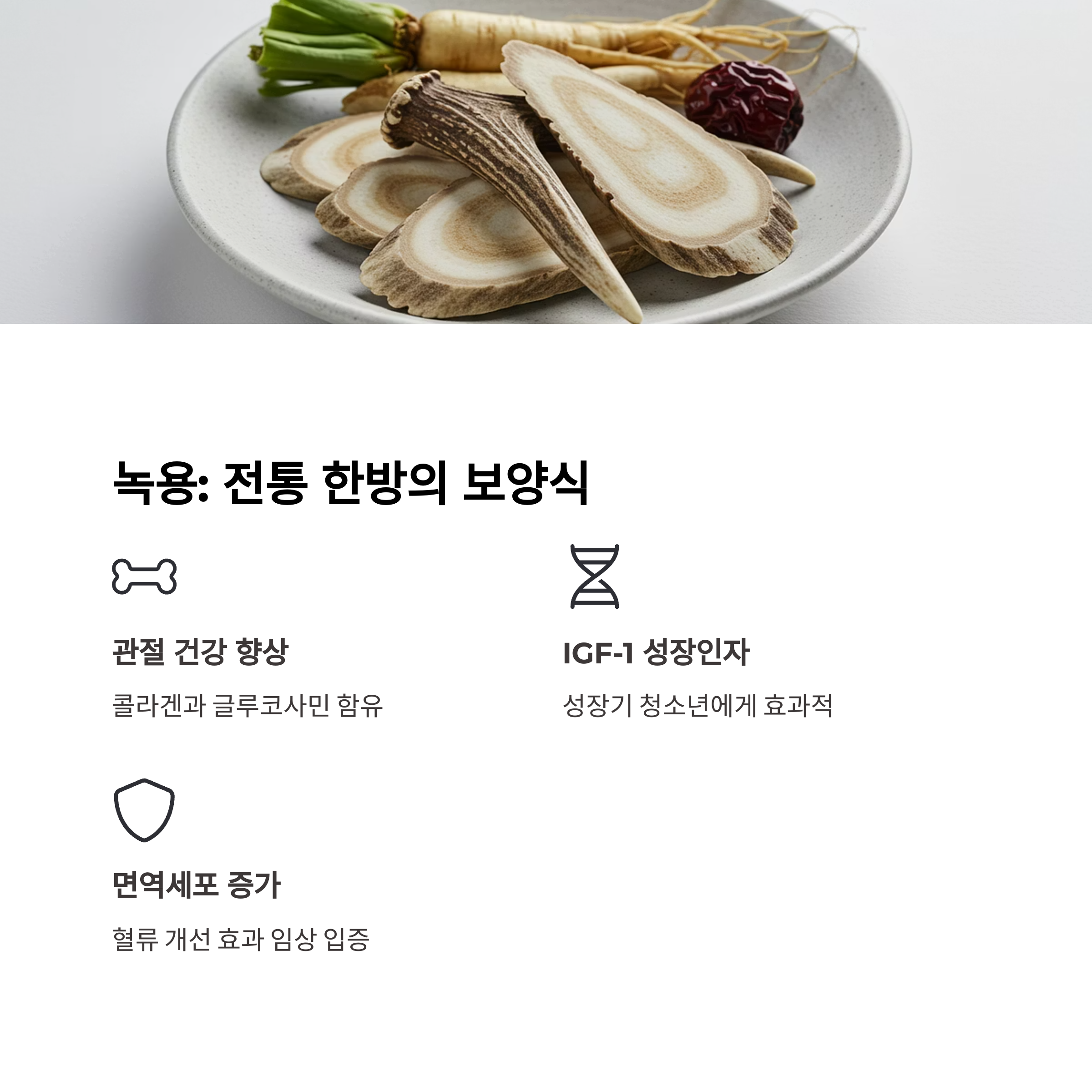 녹용: 전통 한방에서 증명된 보양식