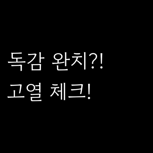 독감 완치까지 걸리는 시간과 고열 단..
