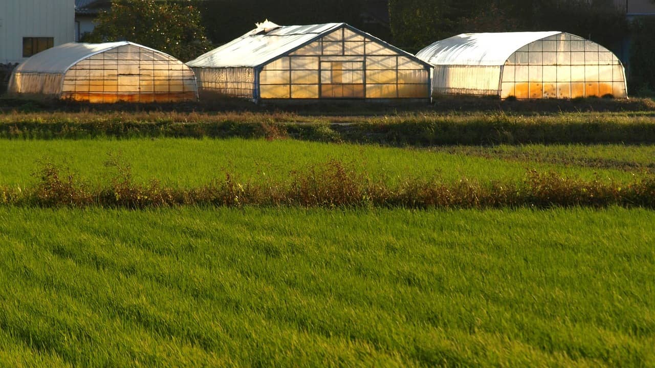 농가용 스마트팜 자동화 기술에서 발생하는 빅데이터의 실제 활용 방식