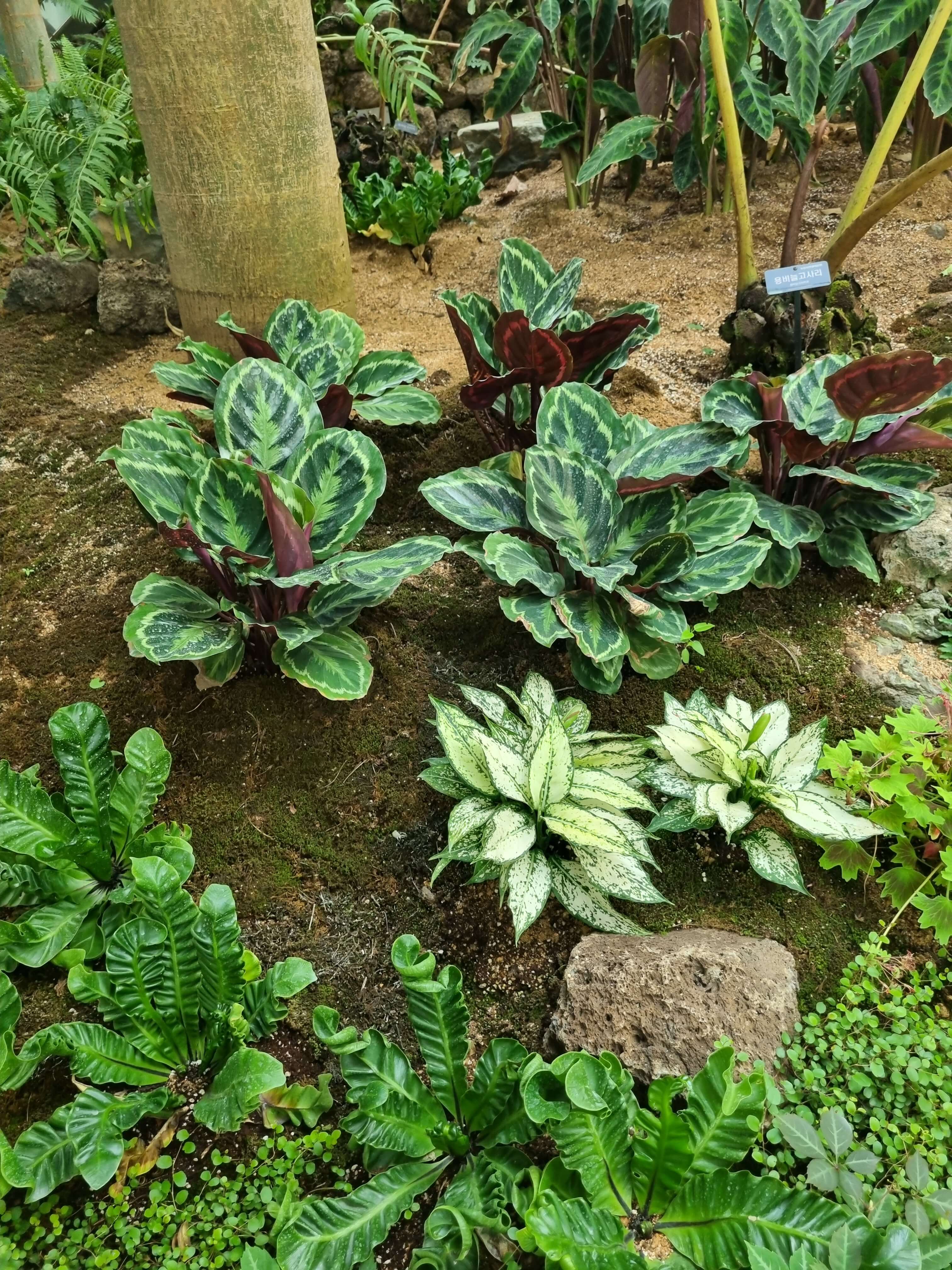 부천 가볼만한 곳 자연생태공원