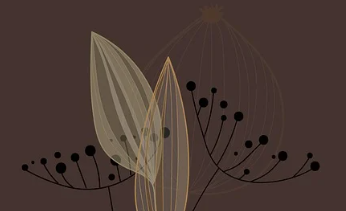 장마 예상 기간 2025년 17