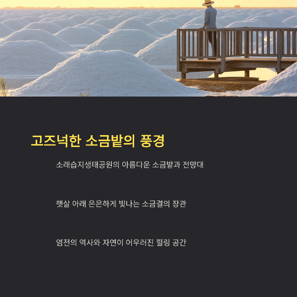 고즈넉한 소금밭의 풍경