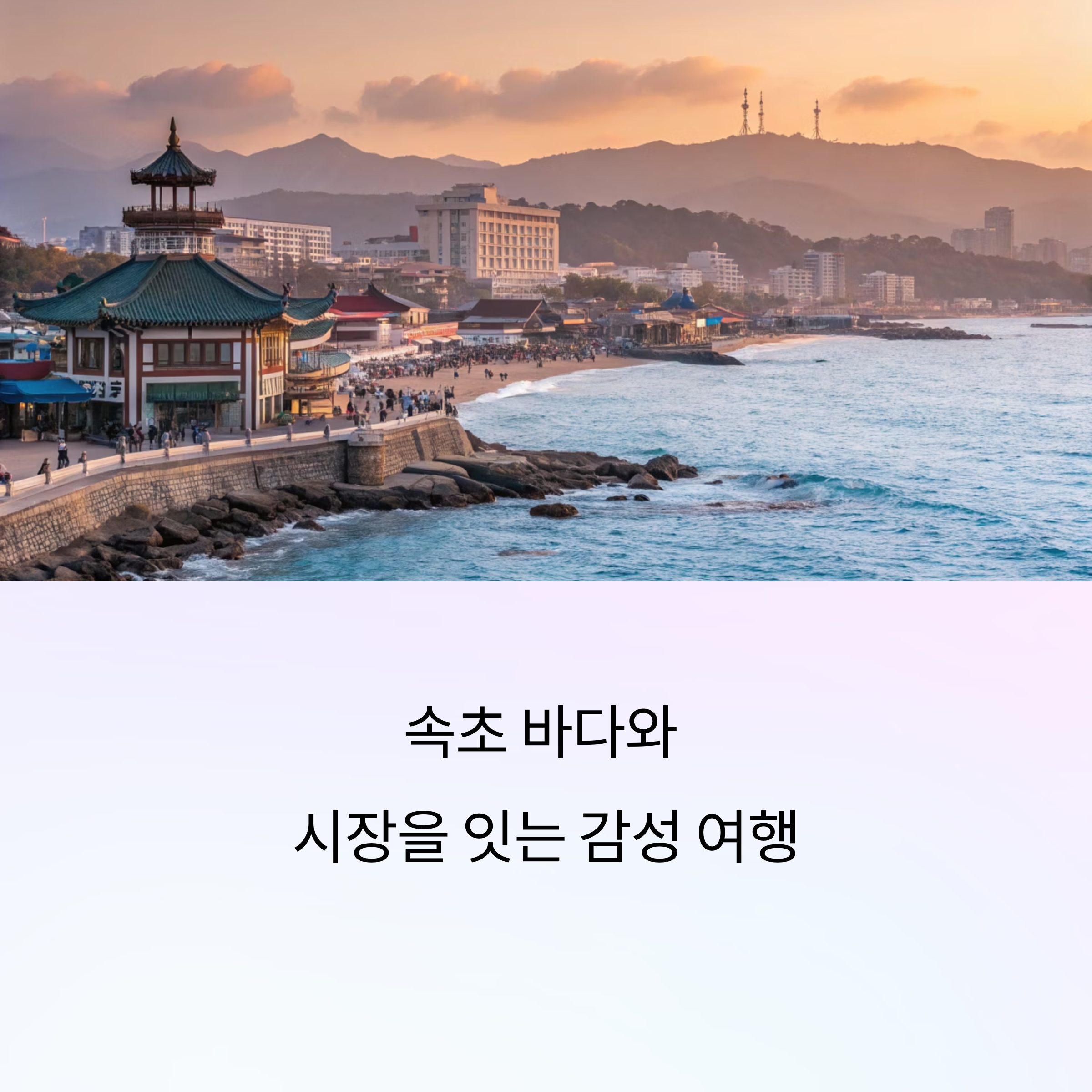 바다와 시장을 잇는 감성 여정