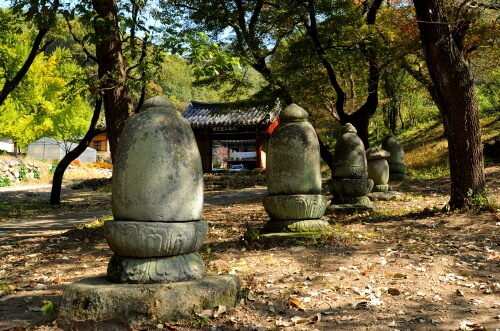 영천 가볼만한곳 베스트 10