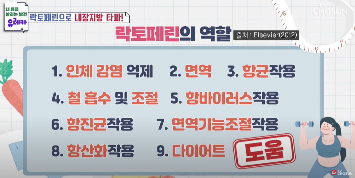 락토페린의 효과