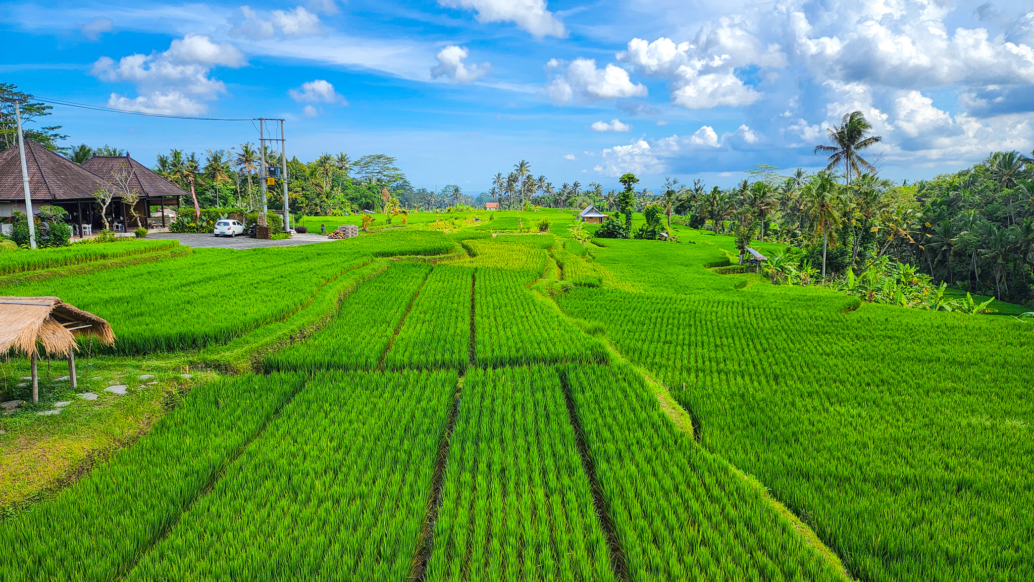 발리 입국 조건