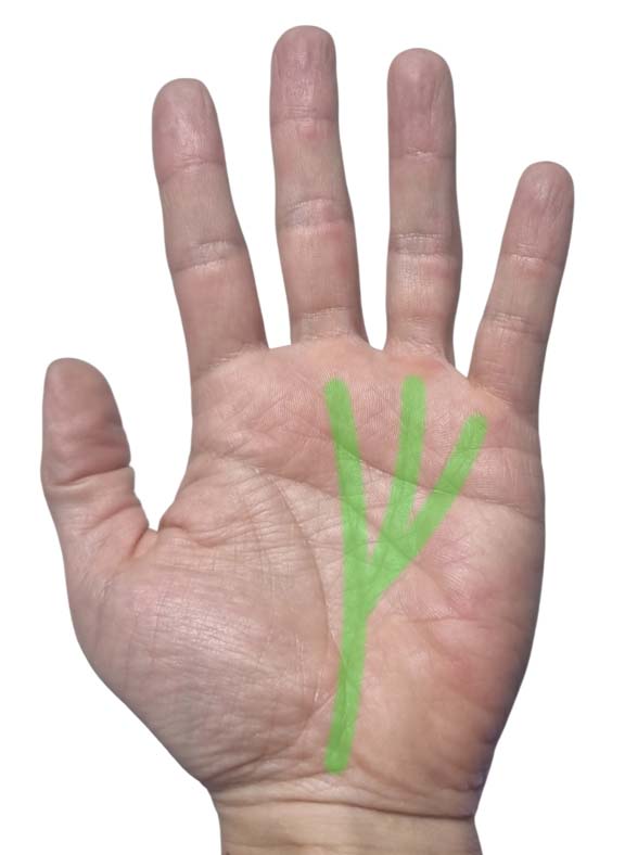 부자들 손금의 공통점? 돈을 만지는 손금(M자, 삼지창, 막쥔금, 재물선, 사업선)