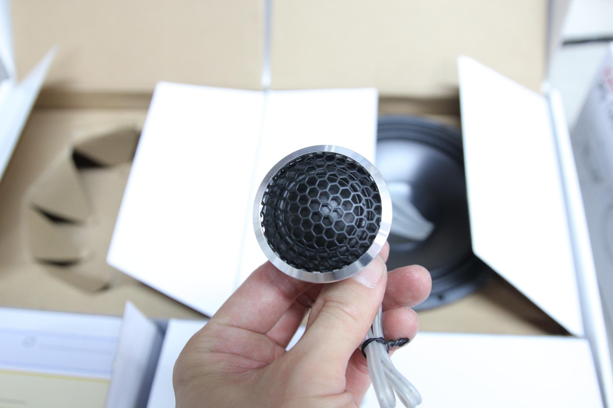 레인보우 트위터