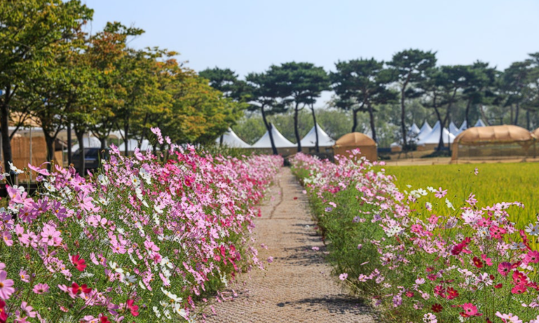 김제 가볼만한 곳