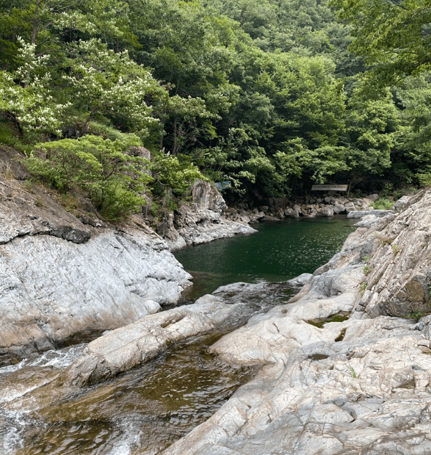 울산-배내골