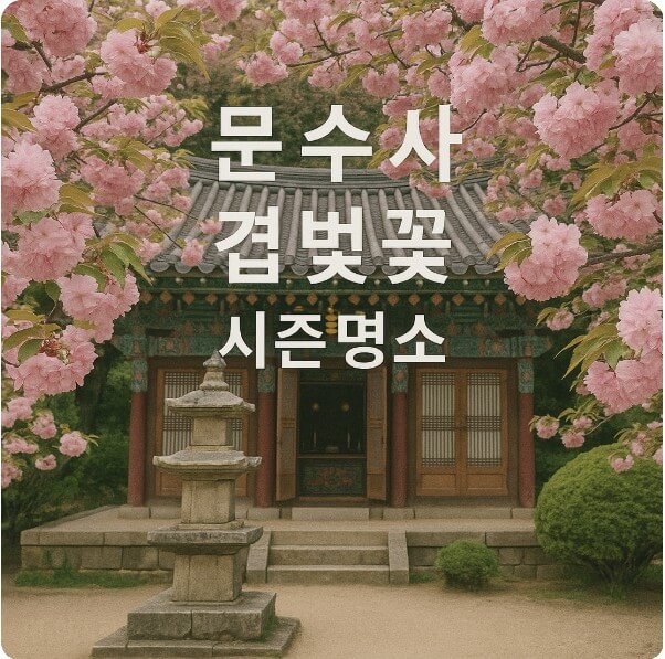문수사 겹벚꽃 사진