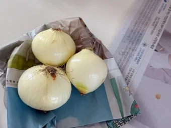 양파 보관법 신선함을 오래 유지하는 건강한 저장 방법까지_18