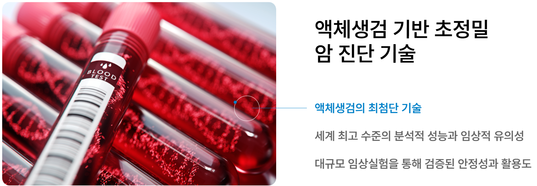 아이엠비디엑스 공모주 청약하기
