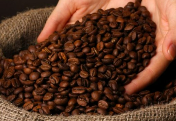 자기-객관화-능력