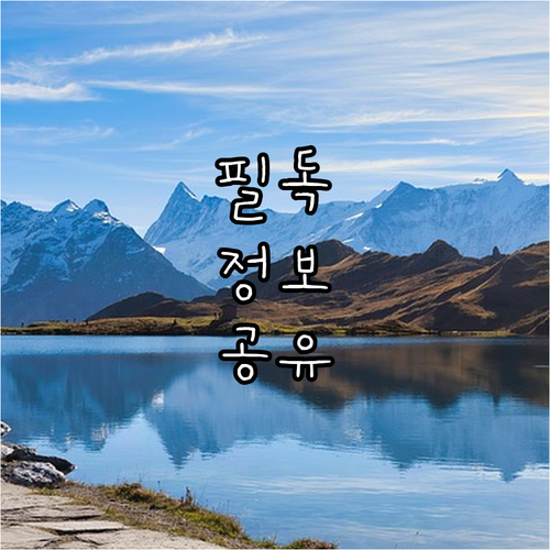 재산세 자동차세 현대카드로 결제 무이..