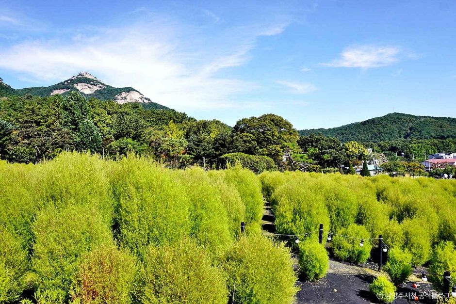[서울 근교 여행지]산들소리 수목원 &amp; 낭만등불축제 후기