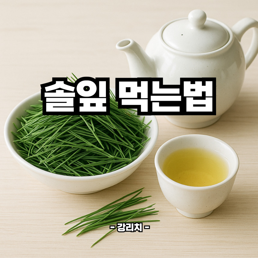 솔잎 먹는법