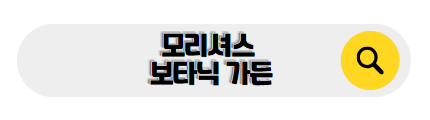 모리셔스 신혼여행