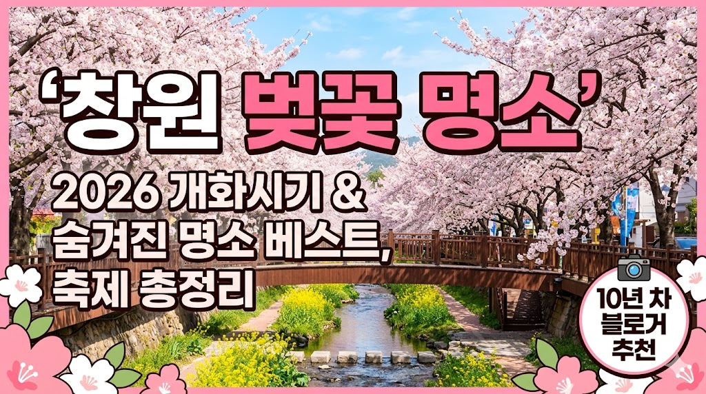 창원 벚꽃