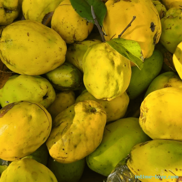 구연산이 풍부한 모과