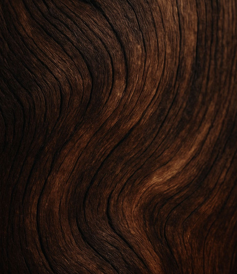 쇠보다 단단한&amp;#44; 나무의 왕