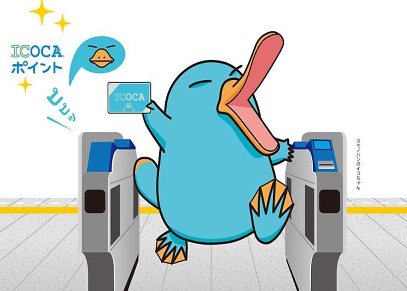 이코카 사용방법