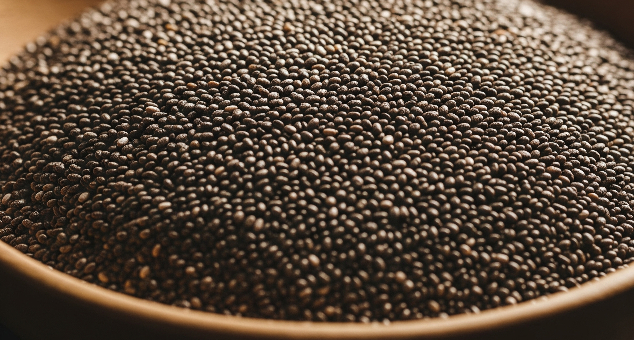 치아씨드 관련 이미지