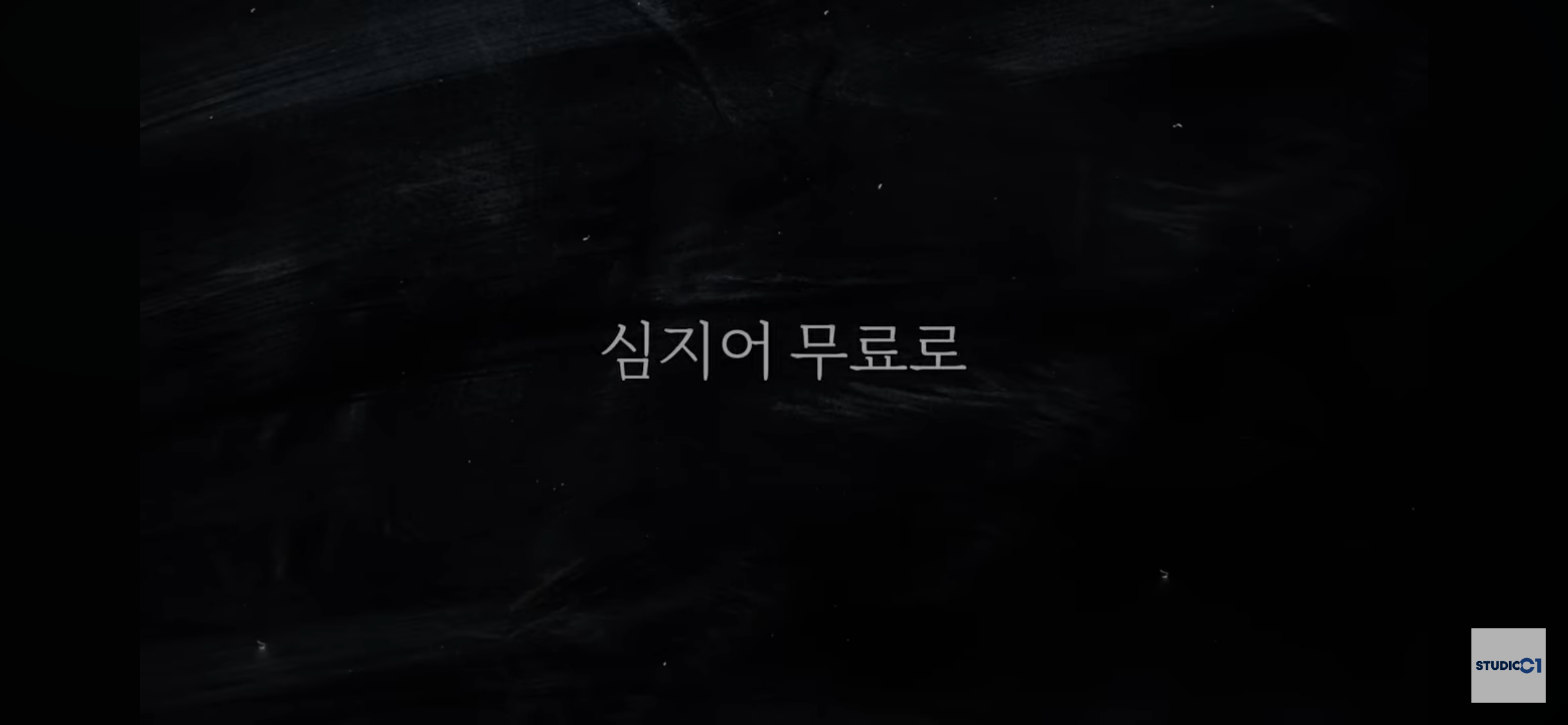 조금 늦은 출발 ❘ 하지만 창대한 시작