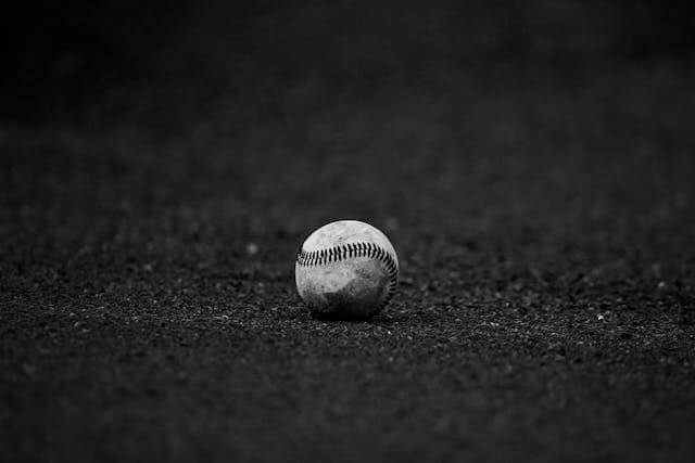 2025 KBO 올스타전 티켓팅 총정리