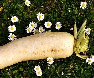 무효능