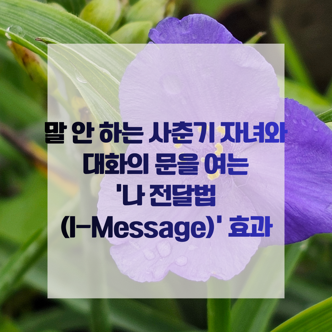 말 안 하는 사춘기 자녀와 대화의 문을 여는 '나 전달법(I-Message)' 효과