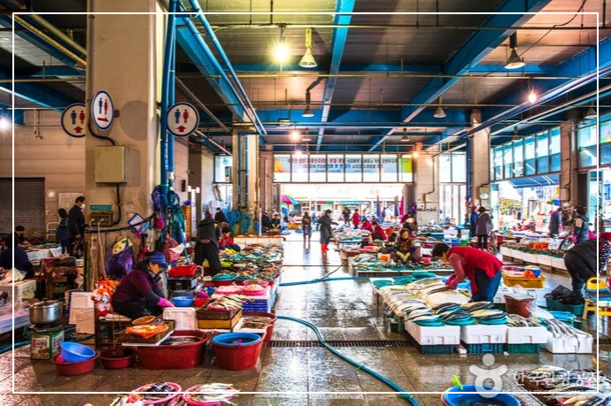 포항 가볼만한곳 베스트10 죽도시장