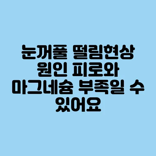 눈꺼풀 떨림현상 원인 피로와 마그네슘 부족일 수 있어요