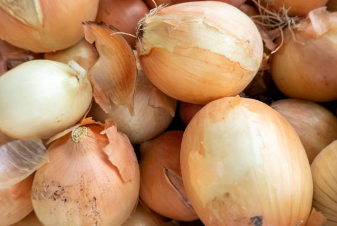 치매에 좋은 양파