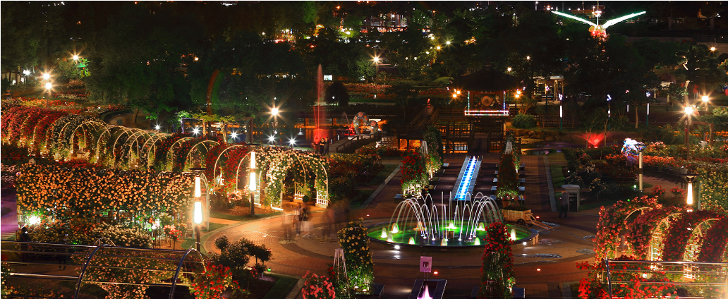 곡성세계장미축제