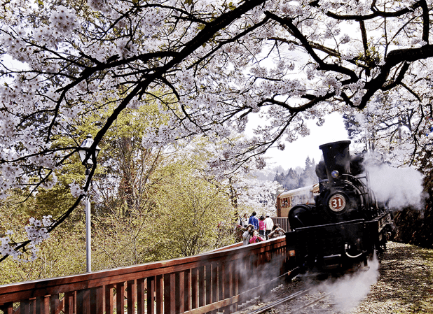 대만 여행지원금 선무역