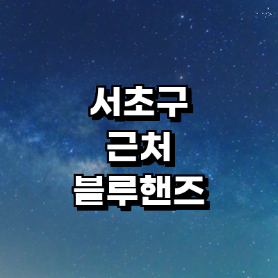 서울 서초구 블루핸즈